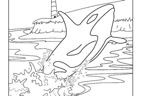 Orca whale coloring pages are a fun way for kids of all ages to develop creativity, focus, motor skills and color recognition. Beluga Whale Coloring Page at GetColorings.com | Free ...