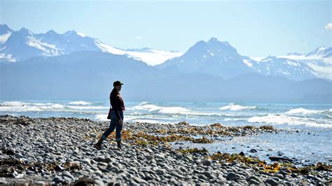 Visit Homer Best Of Homer Alaska Travel 2022 Expedia Tourism