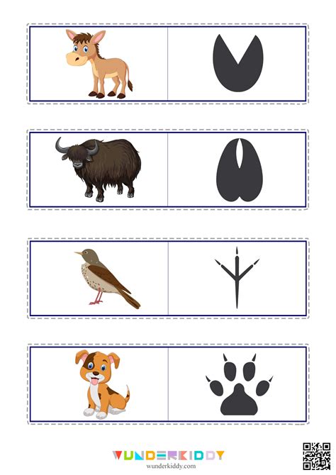 Animal Footprint Worksheet