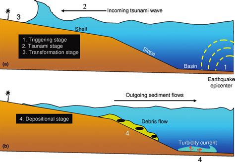 Jump to navigation jump to search. Depositional model showing the link between tsunamis and deep-water... | Download Scientific Diagram