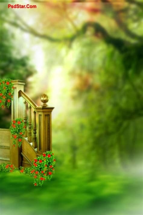 Maybe you would like to learn more about one of these? Outdoor Natural Blur Background Full HD : in 2020 | Love ...