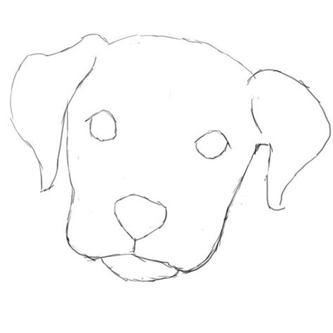 Learn How To Draw A Dog In Photoshop Bright Hub Dog Drawing Simple