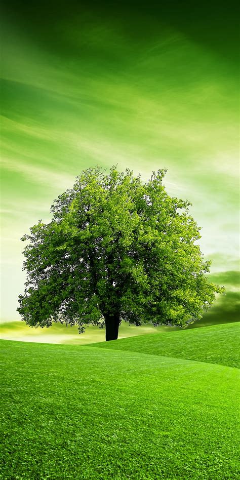 79 Green Landscape Wallpaper Hd Pics Myweb