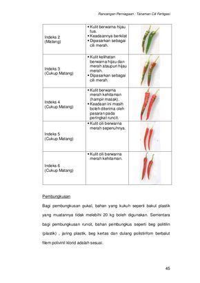 Bunga kertas ini selalu ditanam di taman dan kawasan perumahan. Pin on Planter