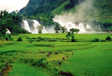 Bắc giang thông tin về trường hợp người không có mặt tại khu cách ly. Holiday Tags Ban Gioc Waterfall | Halong bay, cruise, Sapa ...