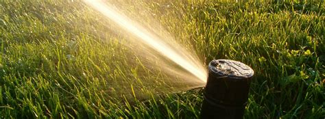 Outdoor Water Conservation Windsor Co Official Website