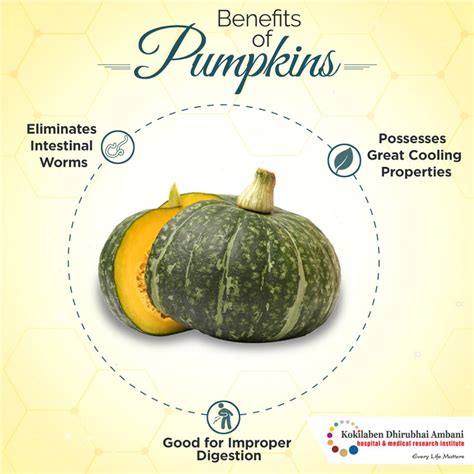 Benefits Of Pumpkin Health Tips From Kokilaben Hospital
