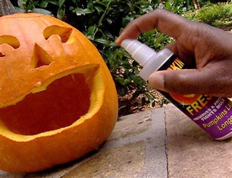 Regardless of what you may have heard, you should never freeze your pumpkin. Tips for Making Carved Pumpkins Last | Growing A Jeweled Rose