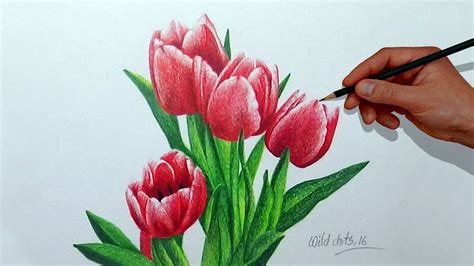 Draw a second curved line across the flower, enclosing another partial teardrop shape. How To Draw A Flower With Simple Colored Pencils - Tulip ...