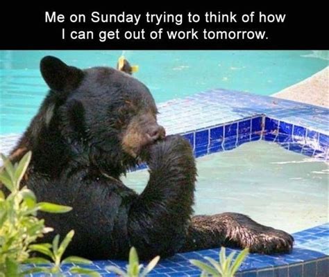 110 Best Funny Happy Monday Memes To Begin Your Day