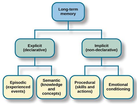 Human Memory Model Stages