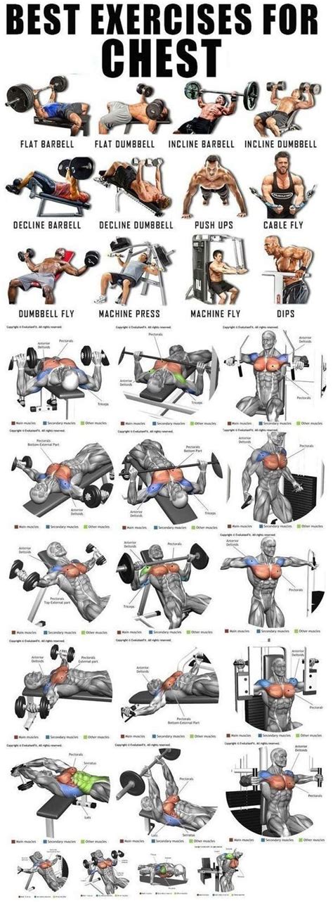 Untitled Chest Workout Routine Chest Workout Gym Workout Chart