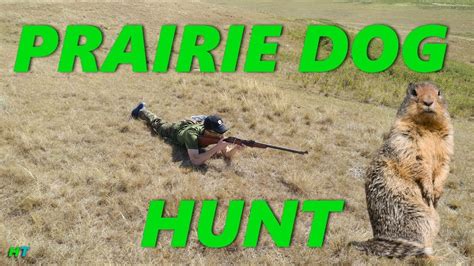 Prairie Dog Hunt With 22 Long Rifle Hunter Tom Youtube