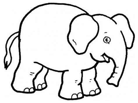 Different levels of details and styles are available. Zoo Animal Coloring Pages | Free download on ClipArtMag