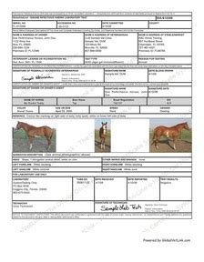 Coggins test is only used when you were traveling to another country, or you were selling your horse, and doing this, you need a negative report of coggins test. A Coggins Retrieval Tutorial! - Highland Hill Veterinary ...
