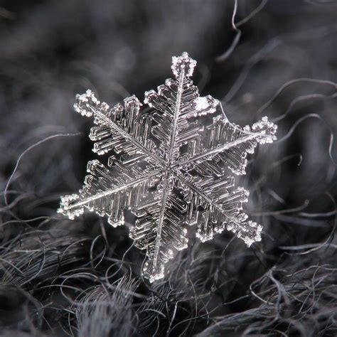 Close Ups Of Individual Snowflakes From This Winter By Chaoticmind75 4