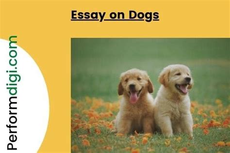 Essay On Dogs In 700 750 Words For 5 To 12 Classgrade Free Pdf