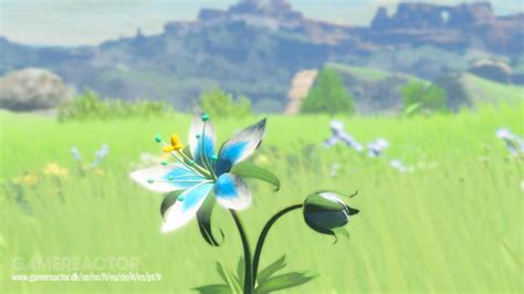Zelda Breath Of The Wild Launch Trailer Jp Boxart March 3 2017