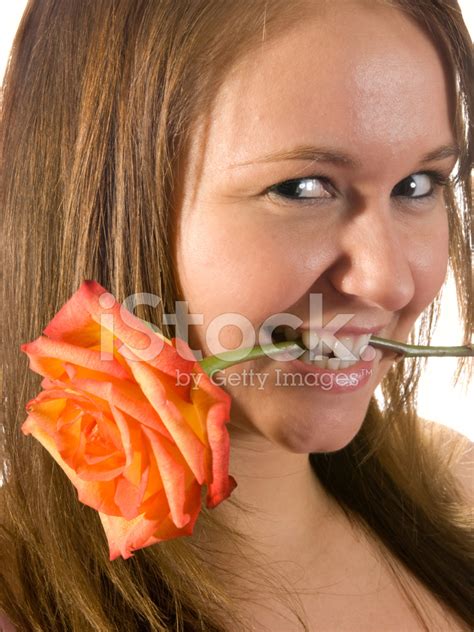 Young Woman With Rose In Mouth Stock Photo Royalty Free Freeimages