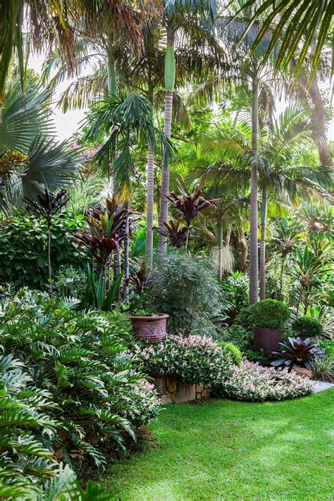 Affordable Backyard Garden Landscaping Ideas Tropical Landscape