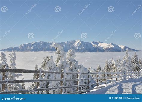 Romanian Winter Landscape Bucegi Mountains Stock Image Image Of