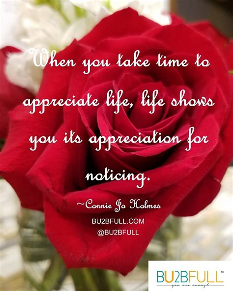 When You Take Time To Appreciate Life Life Shows You Its Appreciation