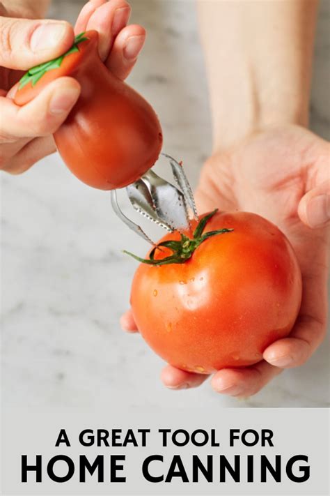 Chefn Hullster Tomato Corer Sur La Table Tomato