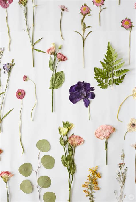 Pressed flower ideas from a Hallmark workshop - Think.Make.Share.