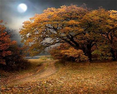 Fall Autumn Moon Scenery Wallpapers Trees Nature