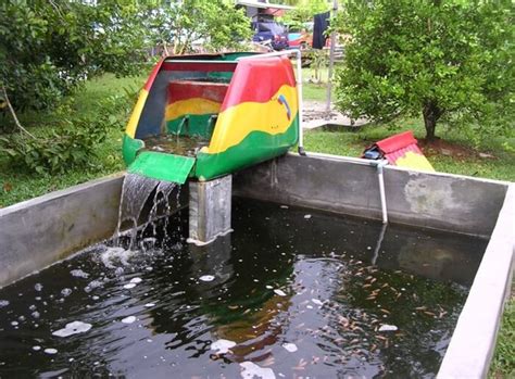 17+ Desain Kolam Ikan Minimalis untuk Ikan Koi dan Berbagai Ikan Hias