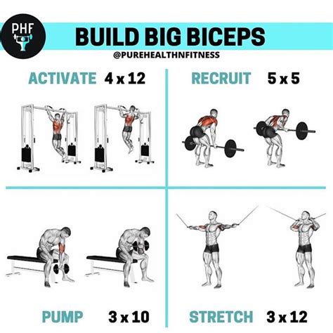 Bicep Workout Biceps Workout Big Biceps Workout Gym Workouts For Men
