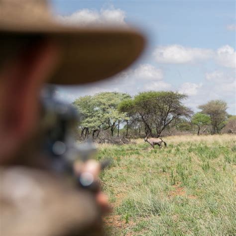 Cruiser Safaris Best Safari Hunting In South Afric