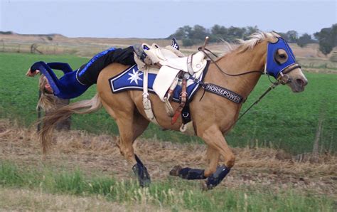 A Man Riding On The Back Of A Brown Horse