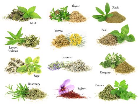 15 Impressive Health Benefits of Herbs - Natural Food Series