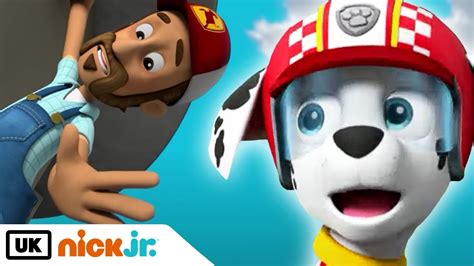 We took her in because any shelter would have put her down. Paw Patrol | Ready Race Rescue: Double Rescue 🐾 | Nick Jr ...