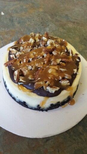 We're serious about this, too. 4 inch turtle cheesecake. Www.facebook.com ...
