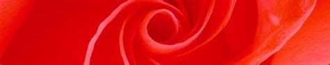 2048x1152 hd 16:9 high quality desktop wallpapers for 4k ultra hd tv ultra widescreen displays dual display desktop tablet smartphone mobile. Bannière Youtube 2048X1152 Rose : How to make a channel ...