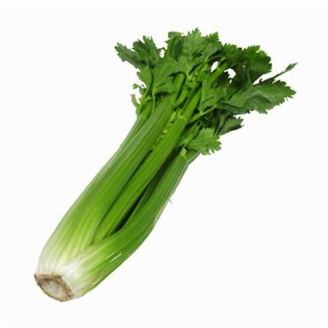 Celery is often called a superfood and rightly so due to its innumerable health benefits and a refreshingly fresh taste. Free Celery Stick Cliparts, Download Free Clip Art, Free ...