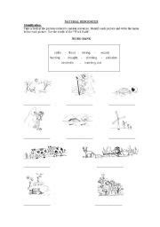 Natural resources worksheets