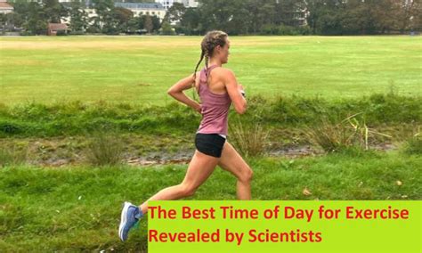 The Best Time Of Day For Exercise Revealed By Scientists Beauty Hacks