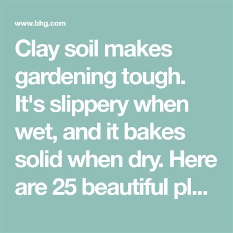 The cactus should grow in the soil when it drains good and starts drying and is dry in about 2 weeks. Top Plants That Thrive in Clay | Clay soil, Planting in ...
