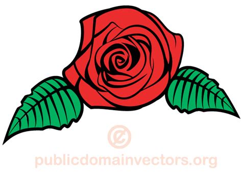 Rose Flower Vector Image Download Free Vector Art Free Vectors