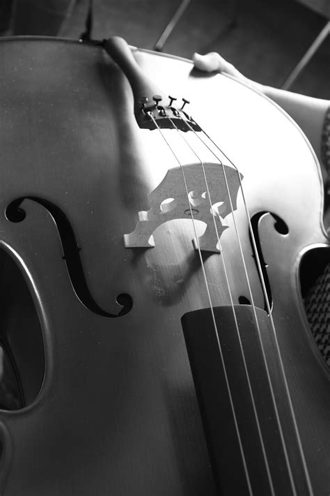 Violin Instrument Music Free Photo On Pixabay Pixabay