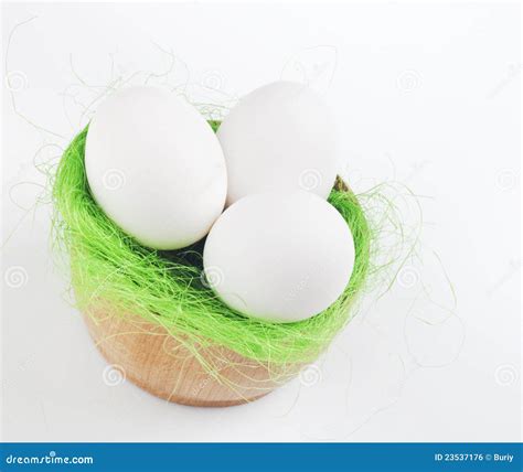 Three Eggs Stock Photo Image Of Feather Easter Cholesterol 23537176