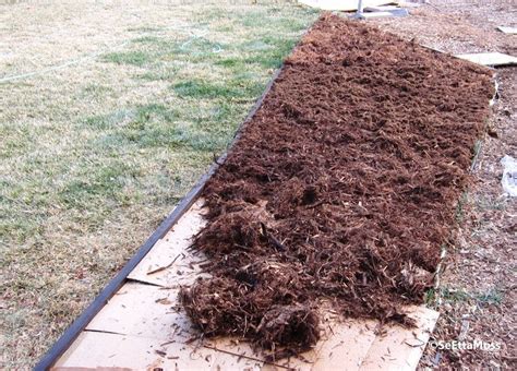 The international movement comprised of turning your grassy lawns into plant filled gardens. Cardboard gardening: turning lawn into garden bed - Birds ...