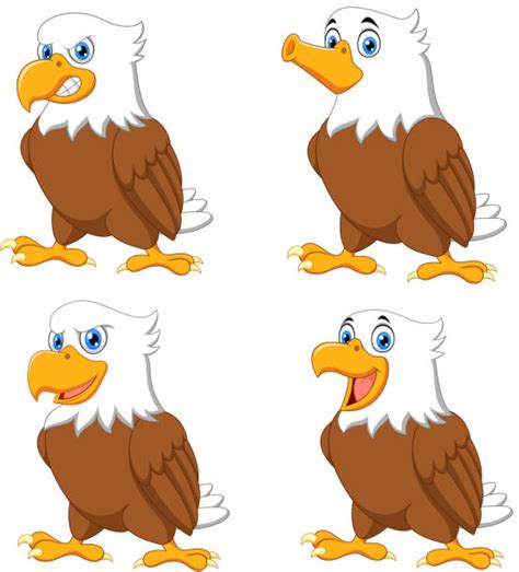 Best Eagle Funny Illustrations Royalty Free Vector Graphics And Clip Art