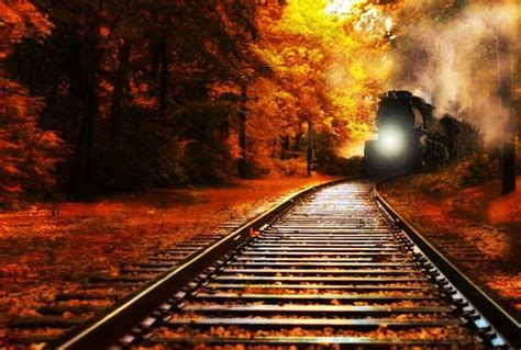 Train Is Coming Railroad Autumn Locomotive Leaves Nature Steam