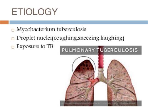Pulmonary Tuberculosis Tb