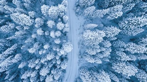 Aerial Photography Of Snow Covered Trees · Free Stock Photo