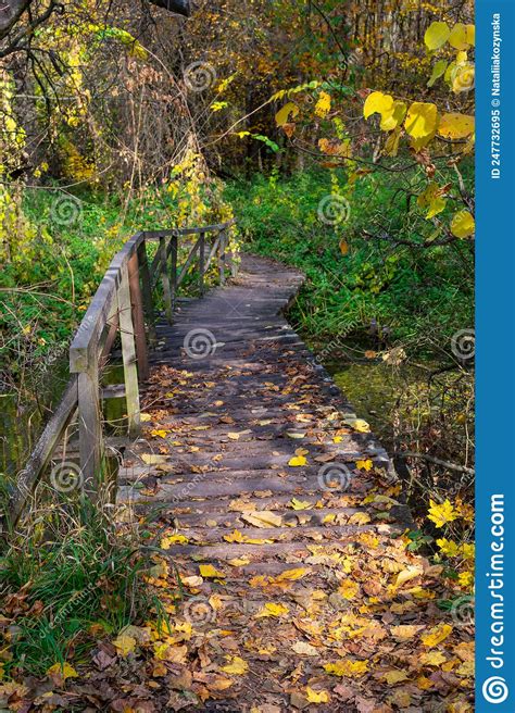Fallen Autumn Leaves On A Wooden Bridge In The Forest Old Wooden
